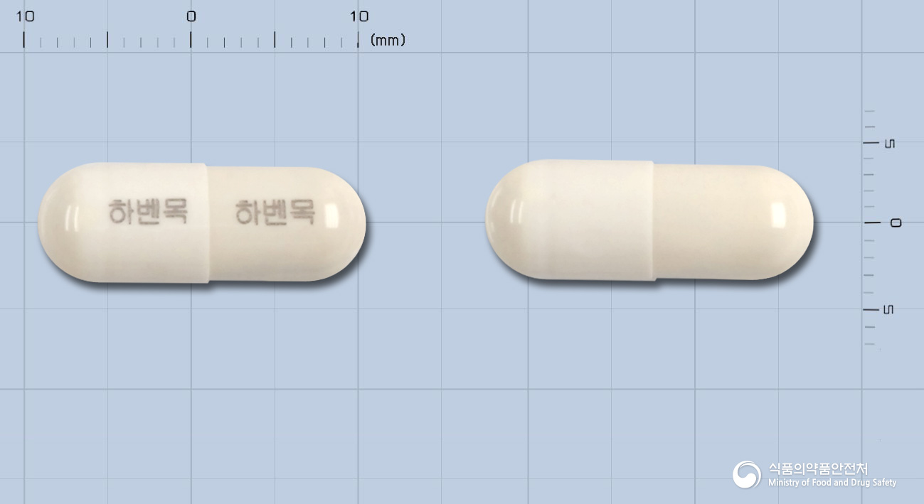 하벤목에스캡슐