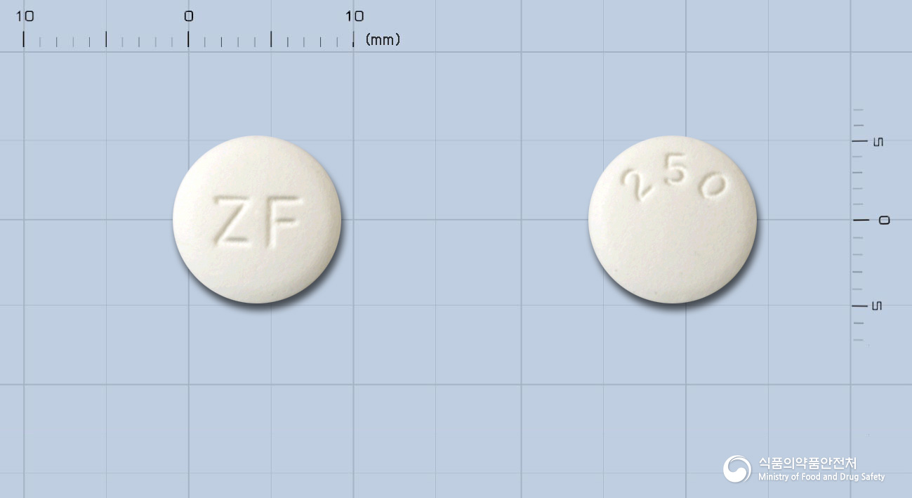 조스팜정 250mg 알약 사진(식약처 낱알식별)