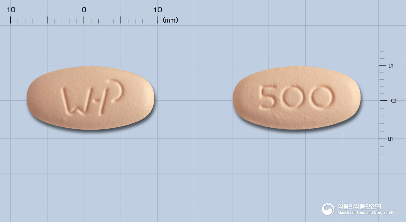 하이록신정 500mg 알약 사진(식약처 낱알식별)