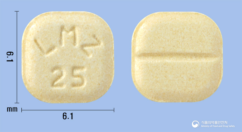 라모진정25mg(라모트리진)