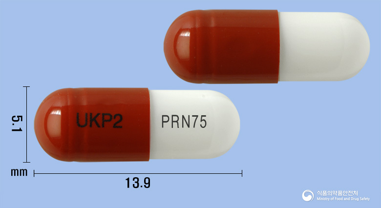 넬슨프레가발린캡슐75mg(프레가발린)