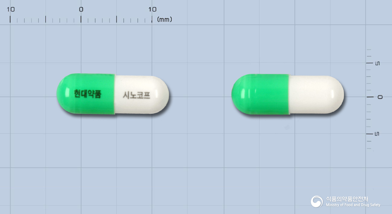 시노코프캡슐