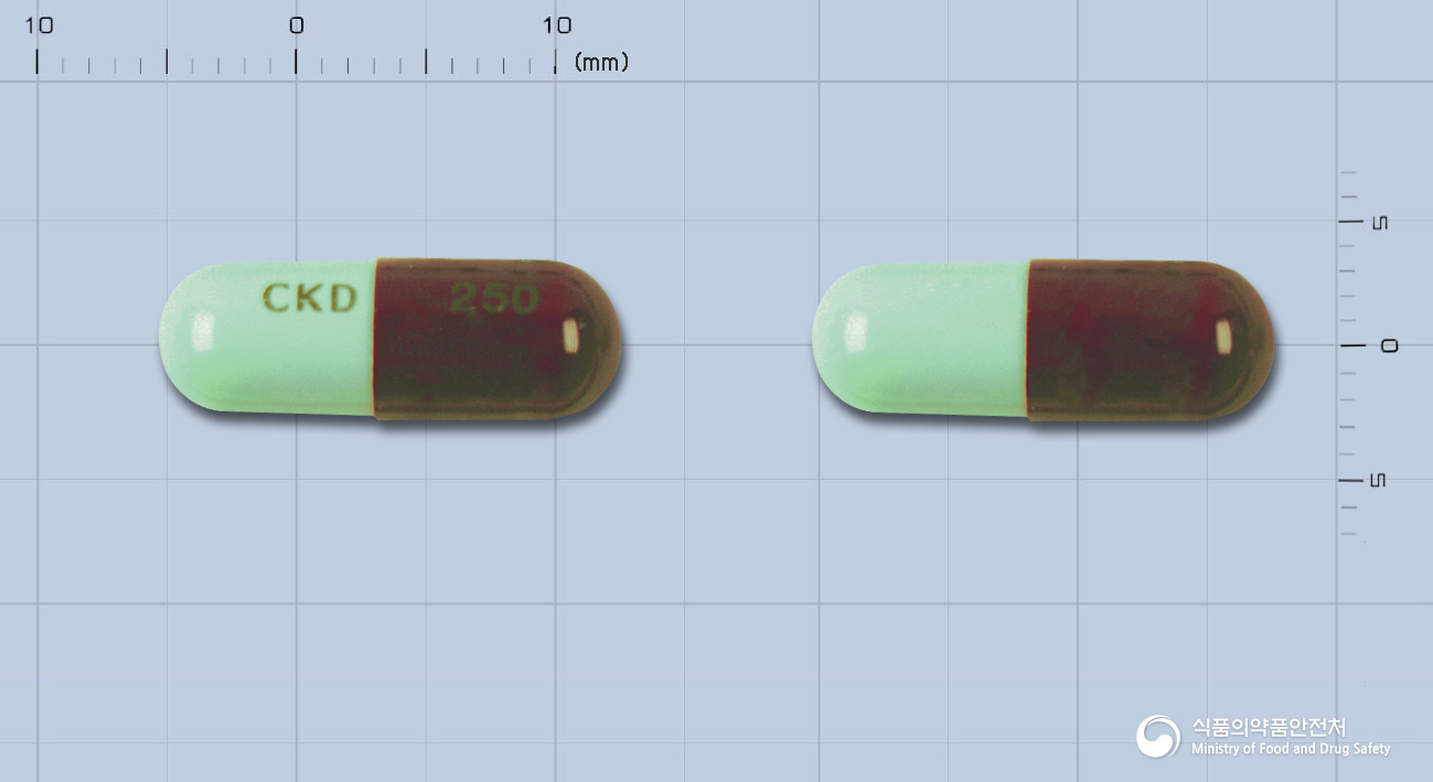 테라싸이클린캅셀 250mg 알약 사진(식약처 낱알식별)
