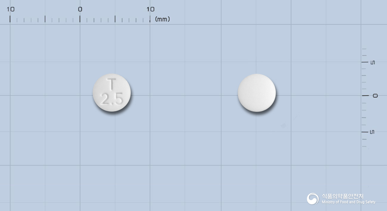 토렘정 2.5mg 알약 사진(식약처 낱알식별)