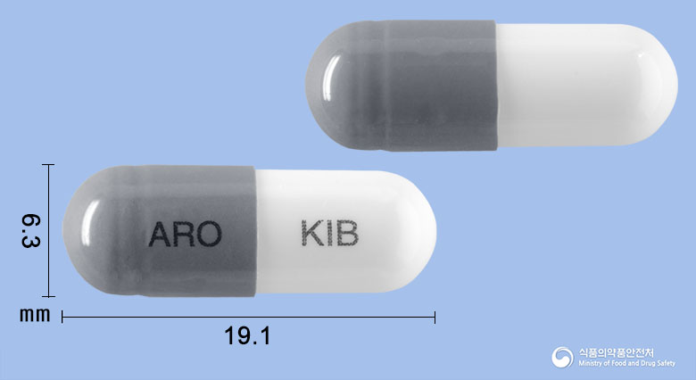 아로필립캡슐100mg(아세브로필린)