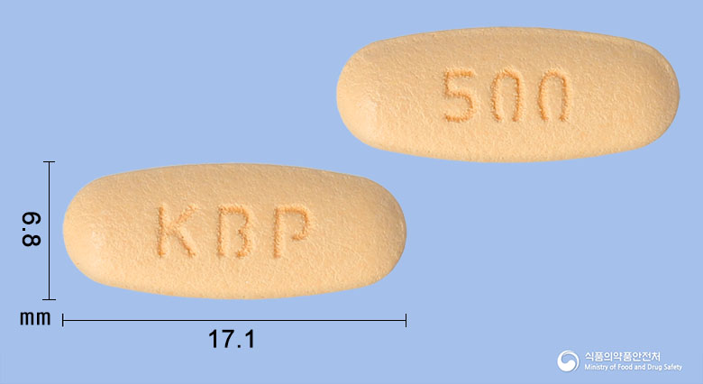 빌다메트정50/500밀리그램