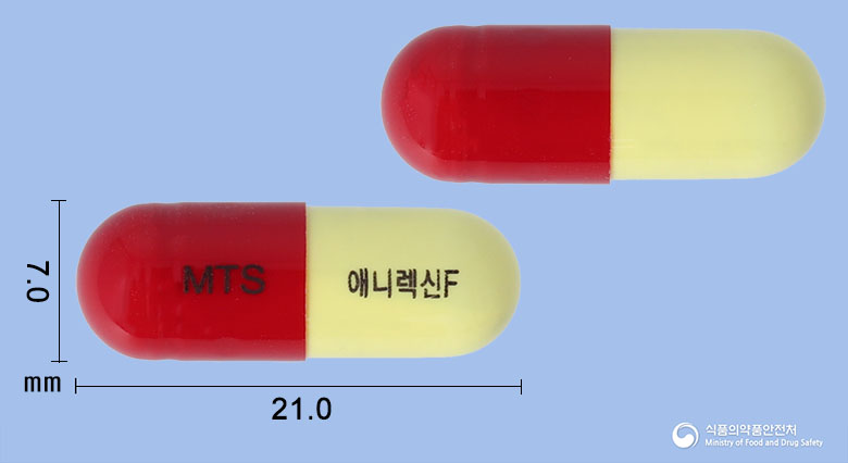 애니렉신에프캡슐(은교산)