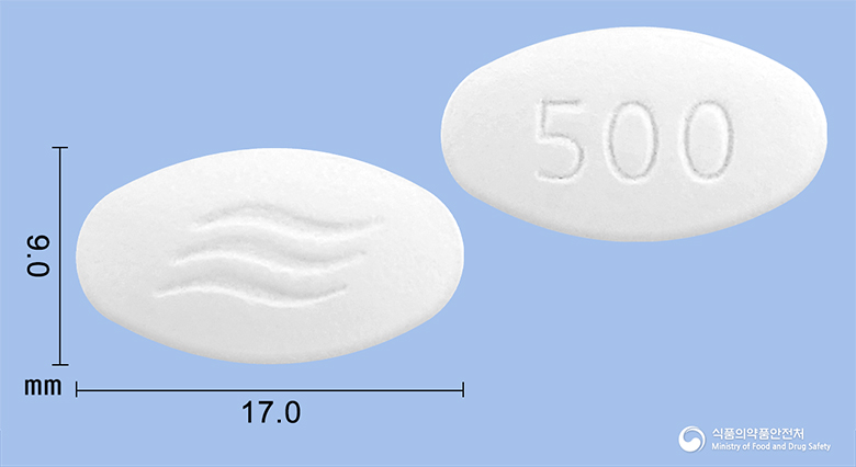 애니목스정500mg(아목시실린·설박탐피복실)