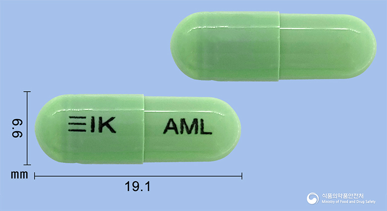 아모리아캡슐(멜록시캄)(수출명 : Amolex Cap., Mepedo Cap.)