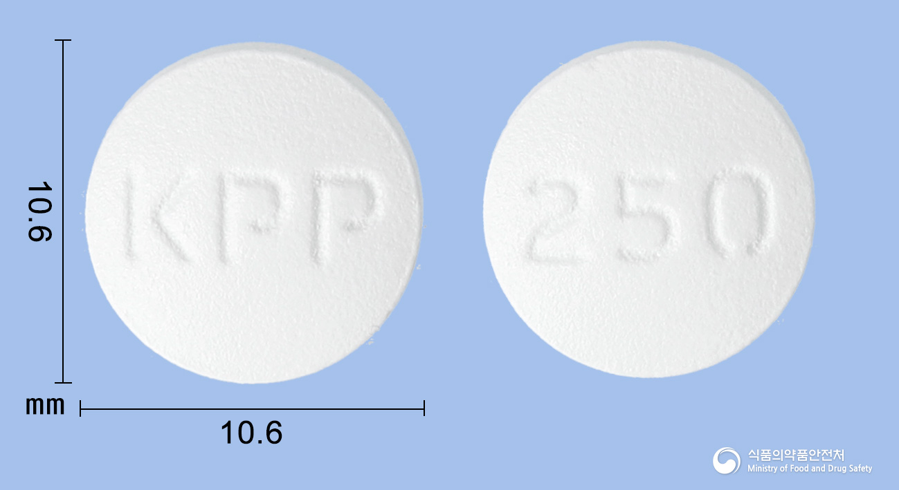 록신정 250mg 알약 사진(식약처 낱알식별)