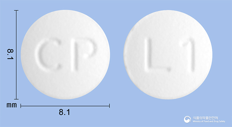 레플록신정100mg(레보플록사신)