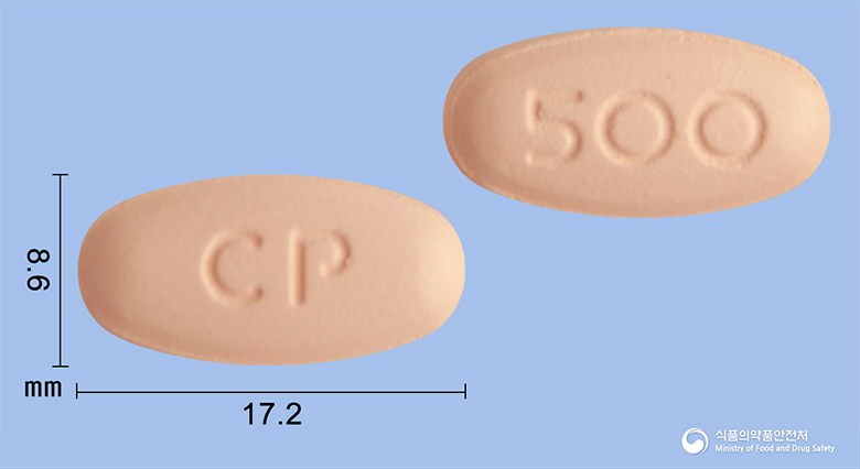 레플록신정500mg(레보플록사신)